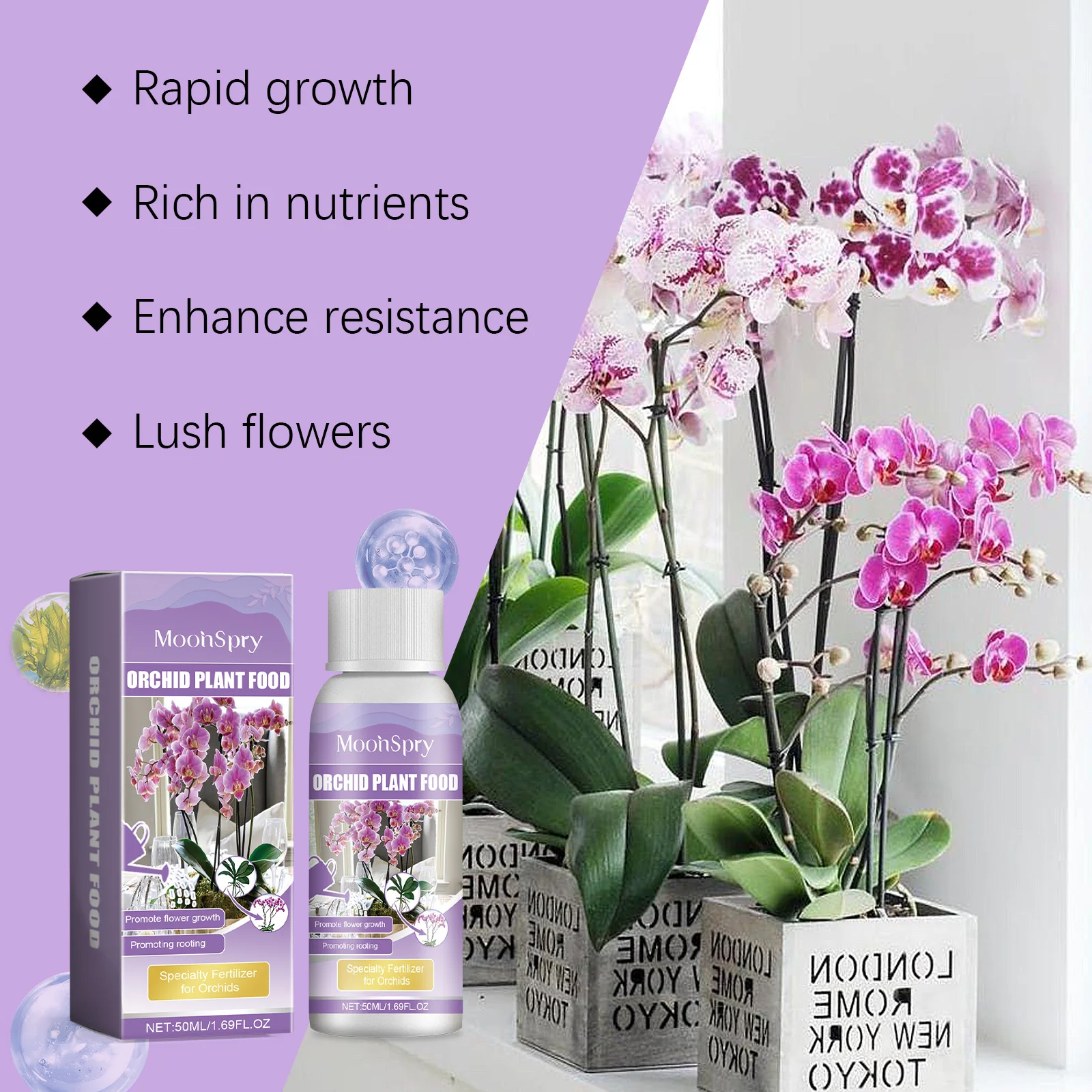 Orchid Plant Growth Agent - Fl - Plant Pot review and price
