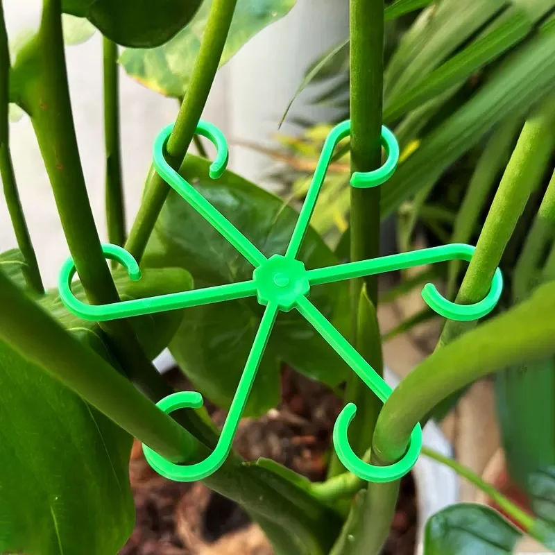 Flower Plant Stem Support Stak - Indoor Herb Garden review and price