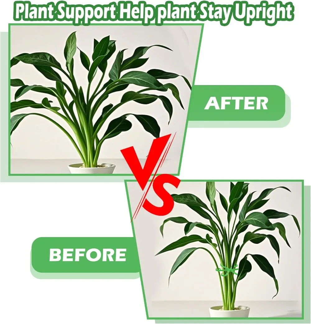 Flower Plant Stem Support Stak - Indoor Herb Garden review and price