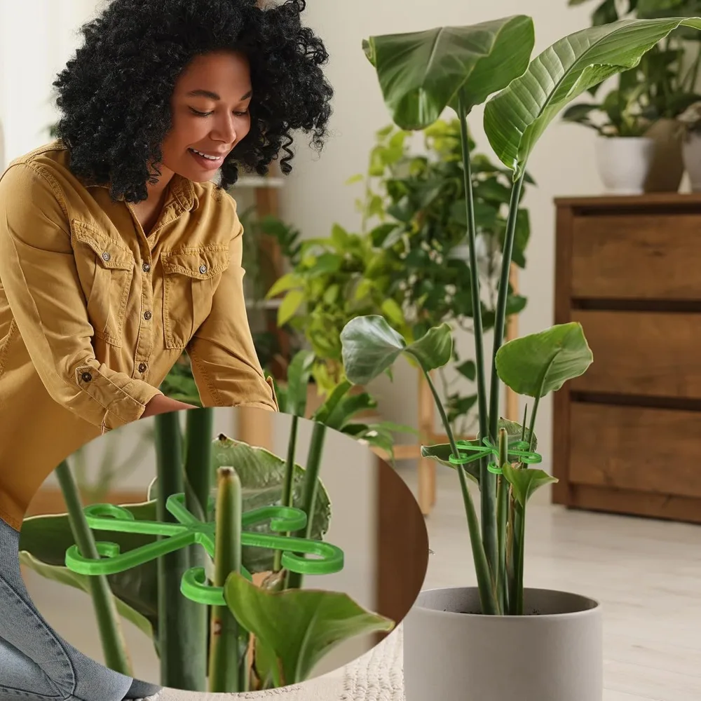 Flower Plant Stem Support Stak - Indoor Herb Garden review and price