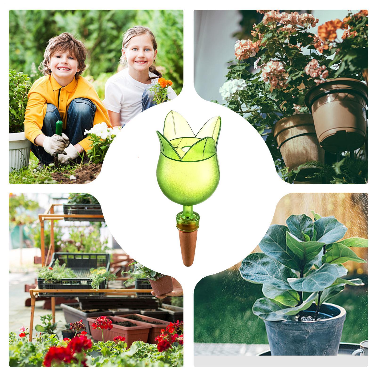 Plant Self Watering Devices Pl - Self Watering Planter review and price
