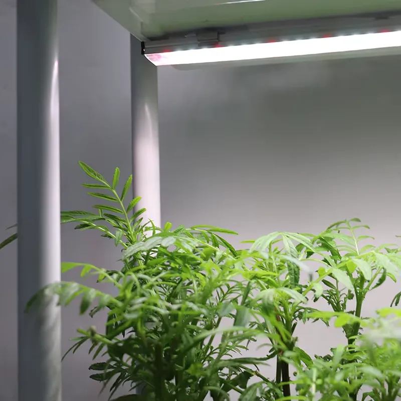Movable Vertical Grow 3 Level  - Self Watering Planter review and price