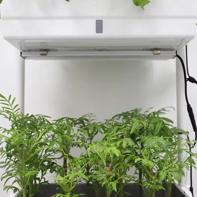 Movable Vertical Grow 3 Level  - Self Watering Planter review and price