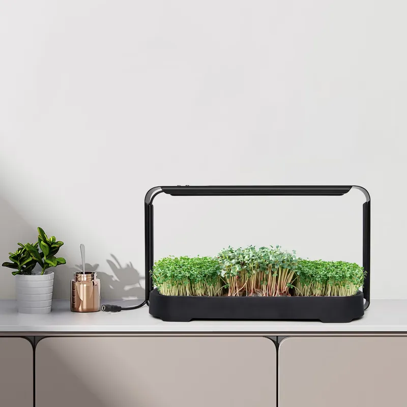 Microgreens Self Watering Hydr - Hydroponic Kit review and price