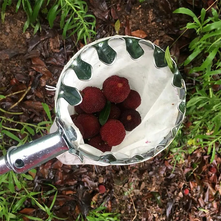 3-in-1 Fruit Harvesting Tool S - Grow Bag review and price