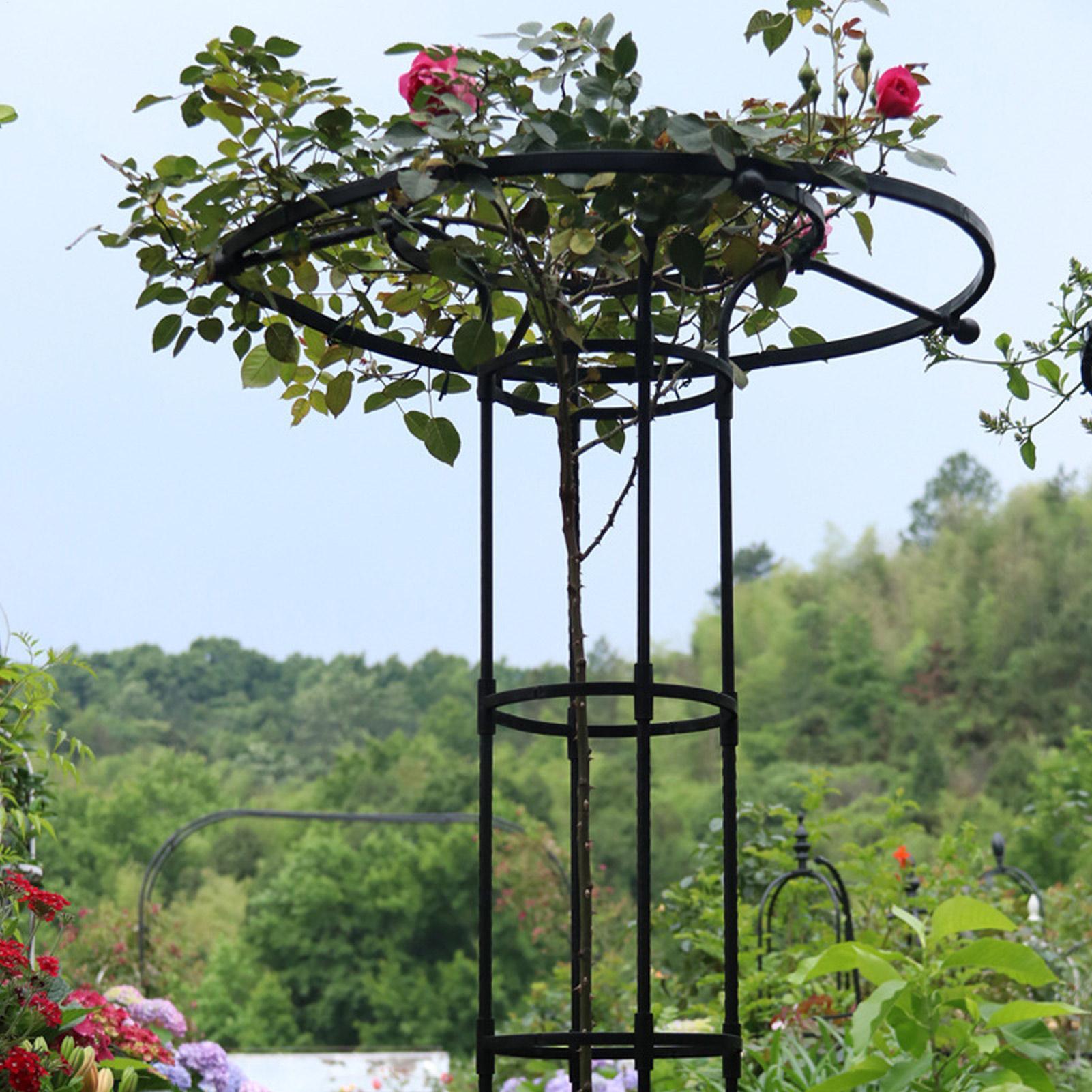 1pc Garden Trellis Umbrella To - Vertical Planter review and price