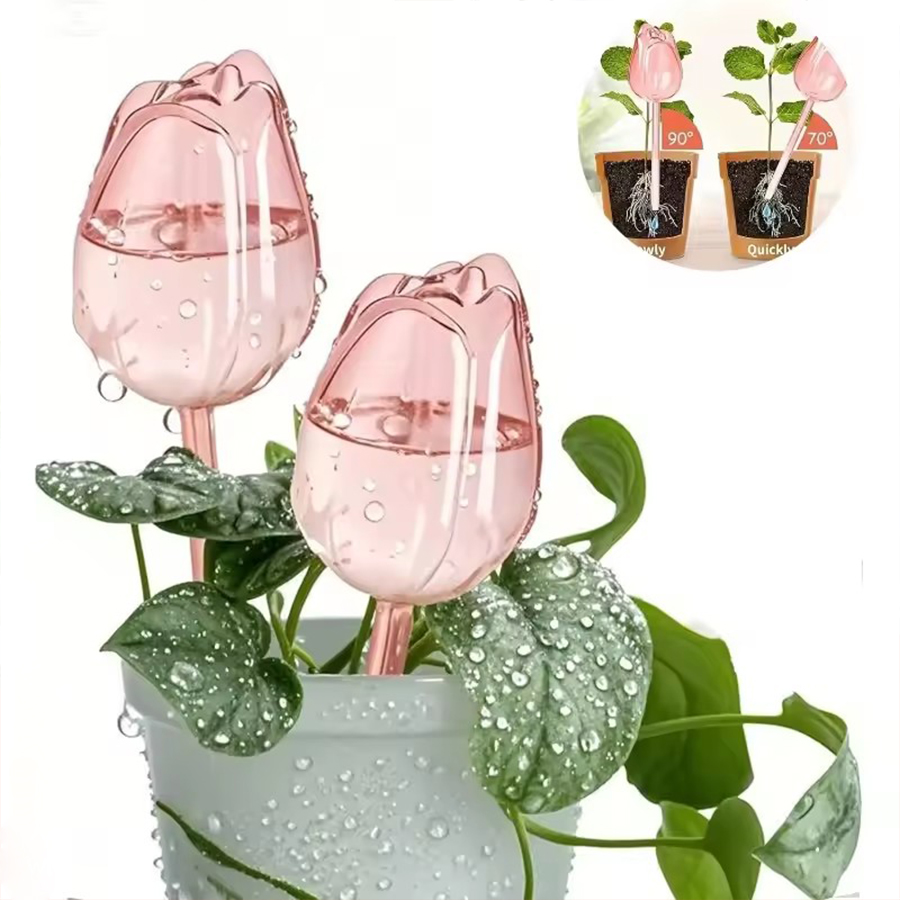 Transparent Thick PET Tulip Sh - Self Watering Planter review and price
