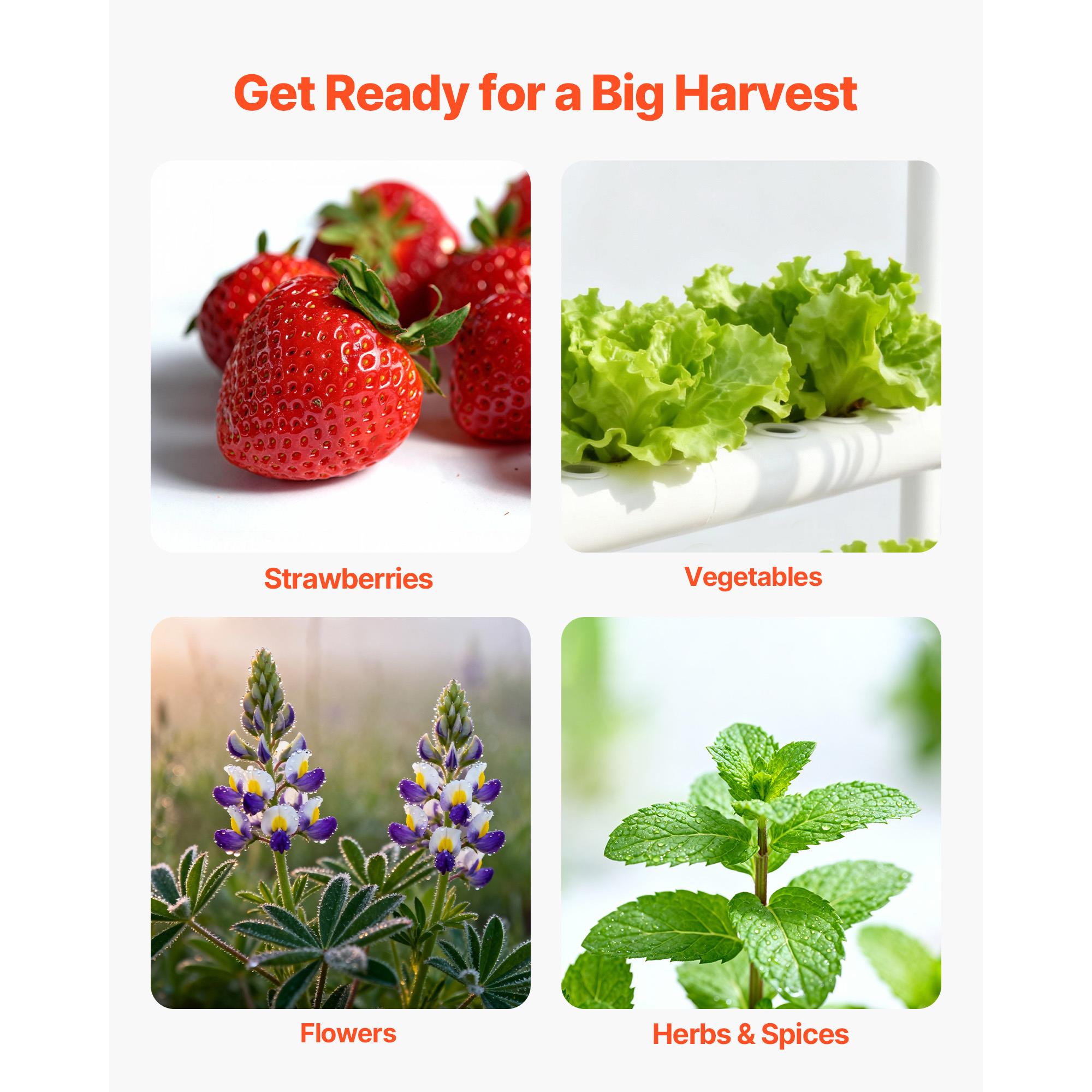 3 Tier 90 Sites Hydroponic Gro - Hydroponic Kit review and price