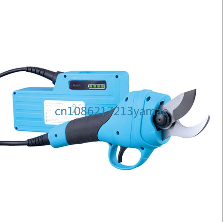Lithium Battery Backpack Elect - Pruning Shears review and price