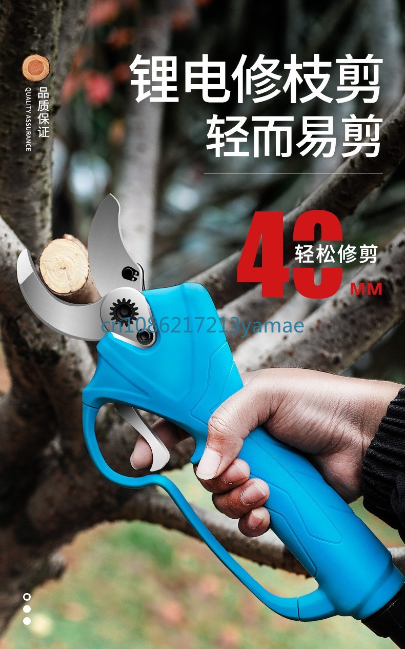 Lithium Battery Backpack Elect - Pruning Shears review and price