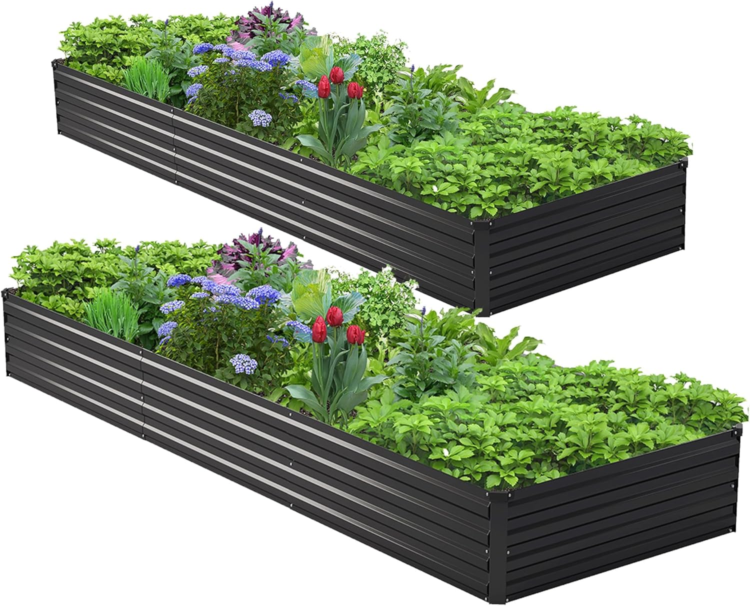 2PCS 10x3x1ft Galvanized Raise - Raised Garden Bed review and price