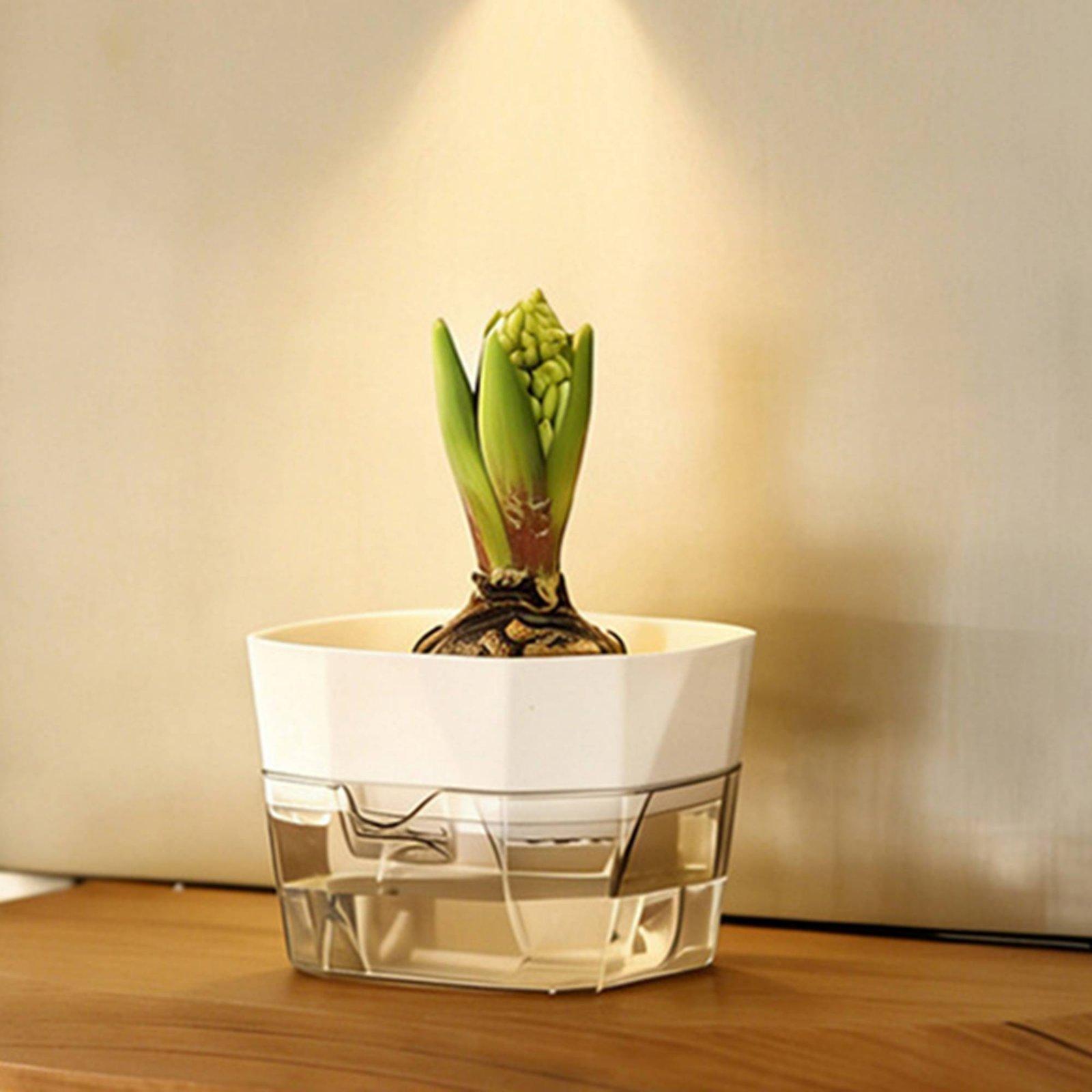 Hydroponic Vase Two Layer Self - Plant Pot review and price
