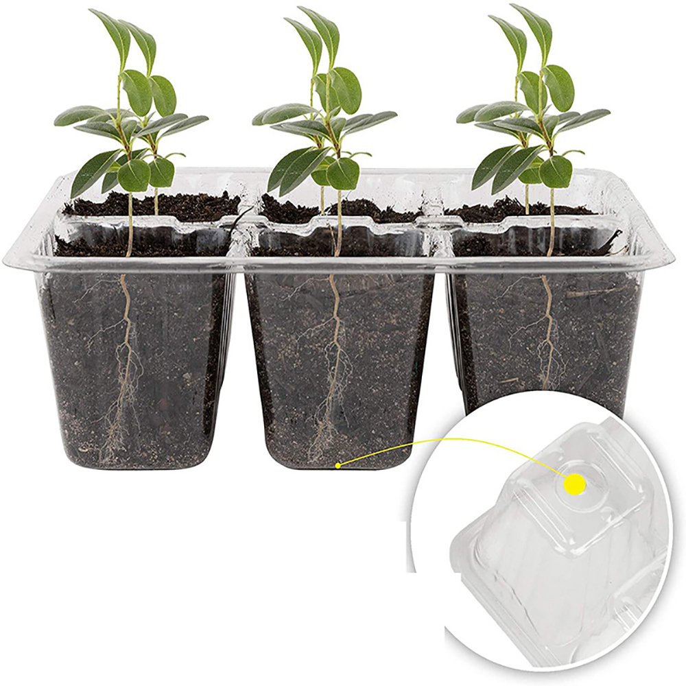 Seed Starter Trays with Grow L - Seed Starter Tray review and price