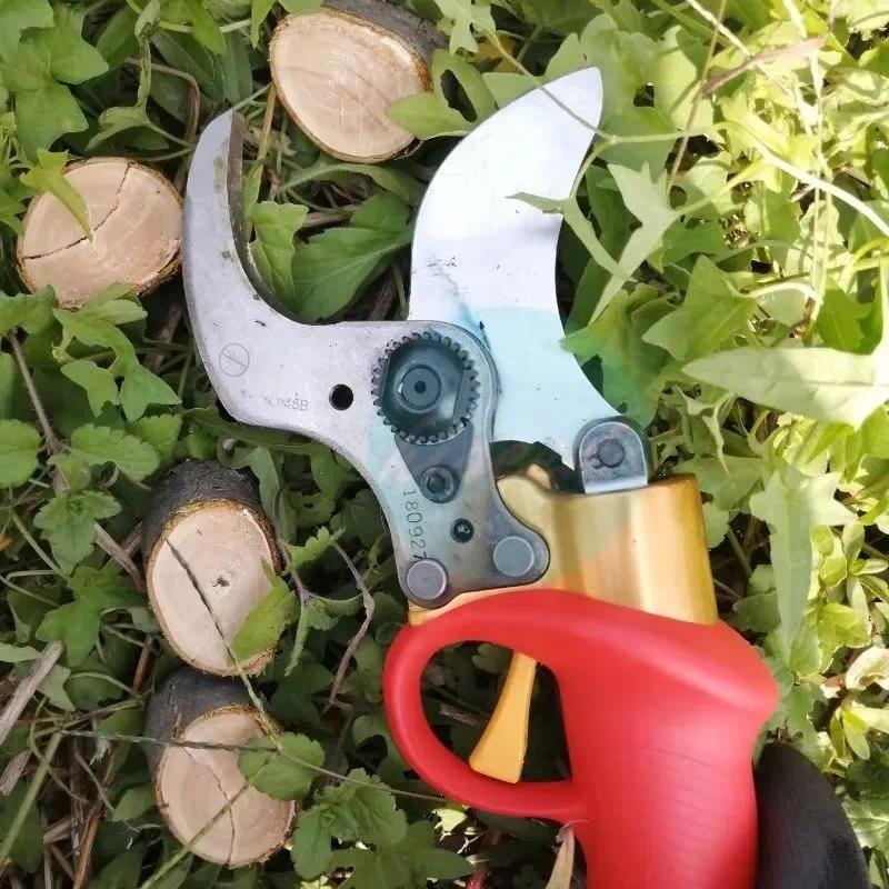 Battery Powered Pruning Shears - Pruning Shears review and price