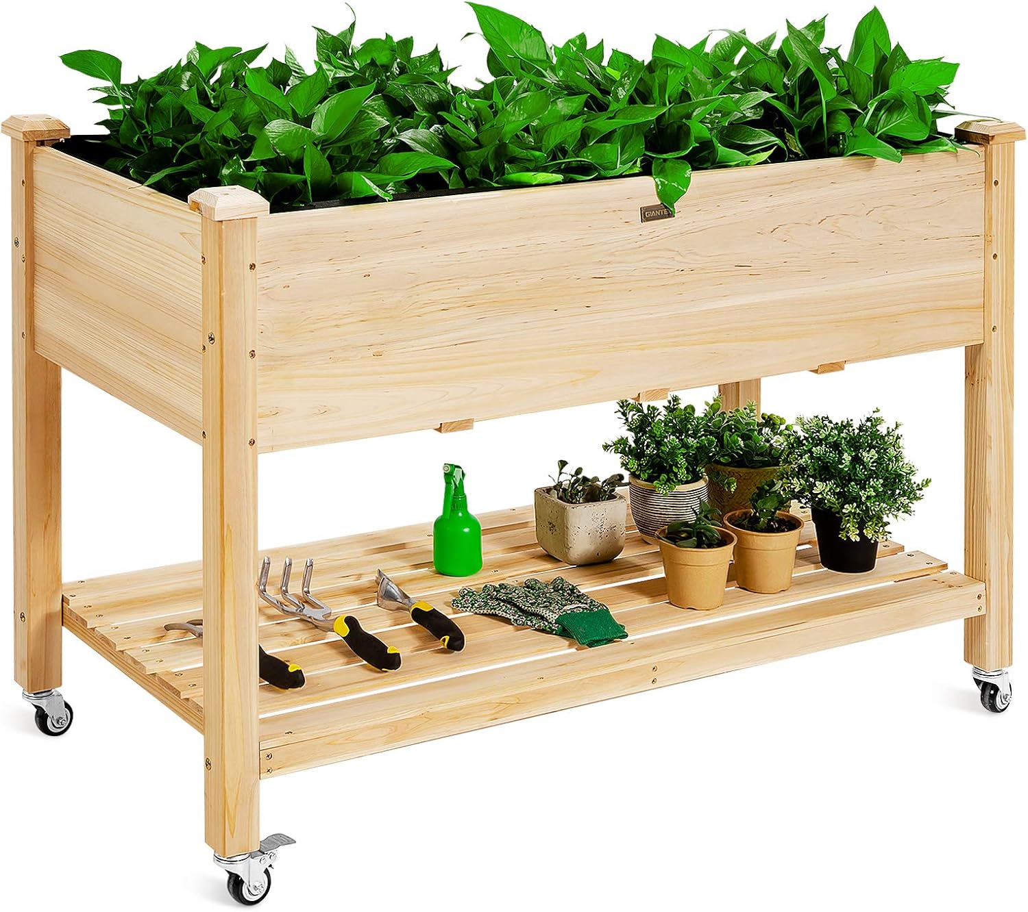 Wooden Raised Garden Bed on Wh - Raised Garden Bed review and price