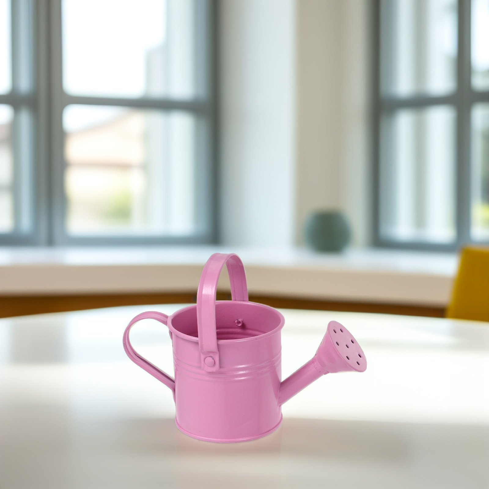 Mini Galvanized Watering Can f - Watering Can review and price