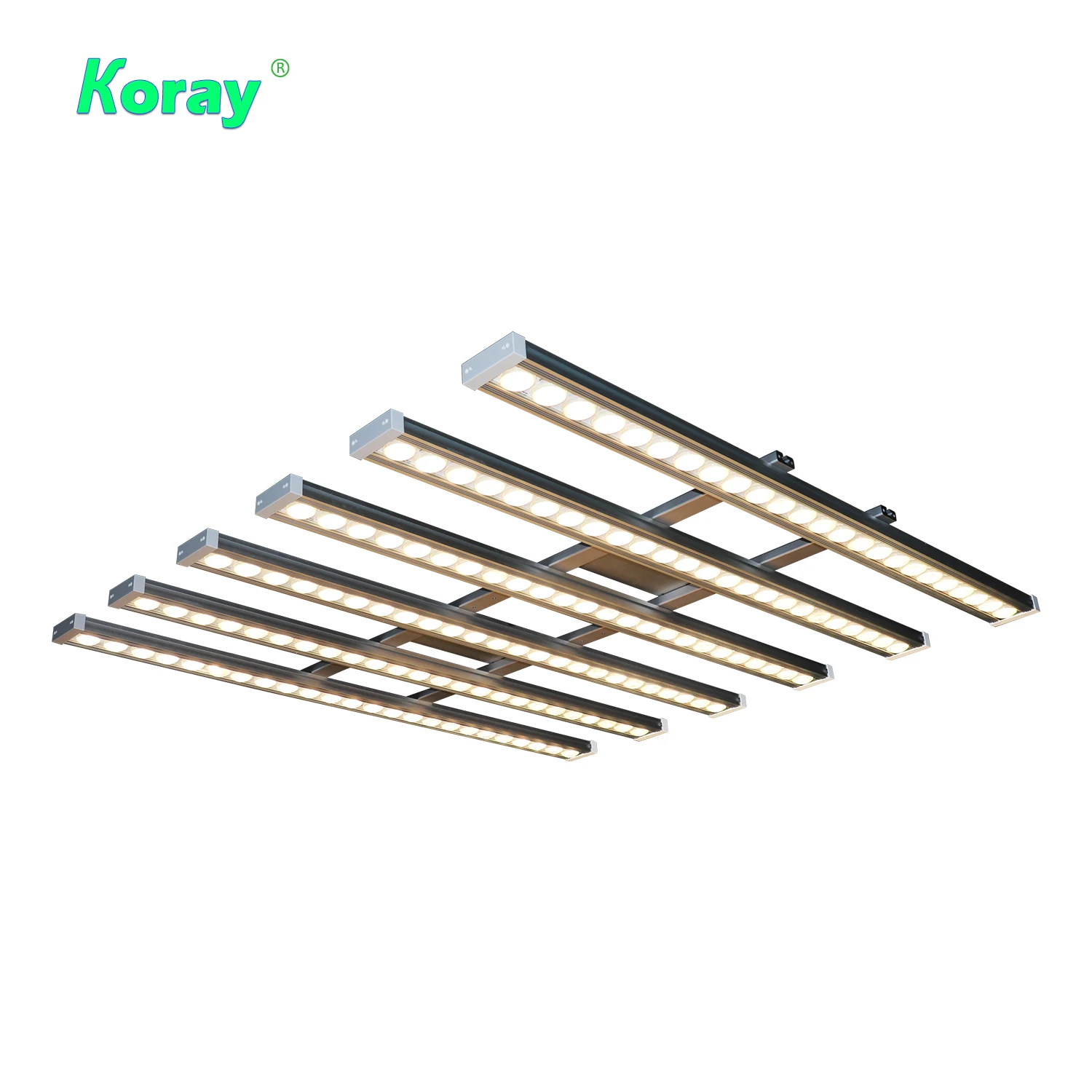 Koray 900W Indoor full spectru - Grow Light Led review and price