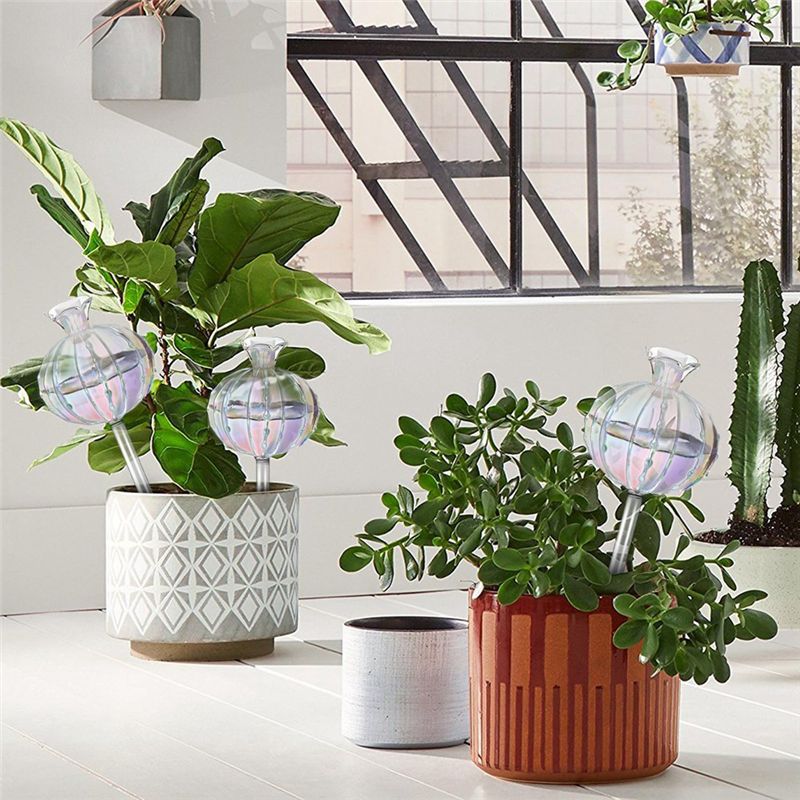 AA94-Plant Watering Bulbs Plan - Self Watering Planter review and price