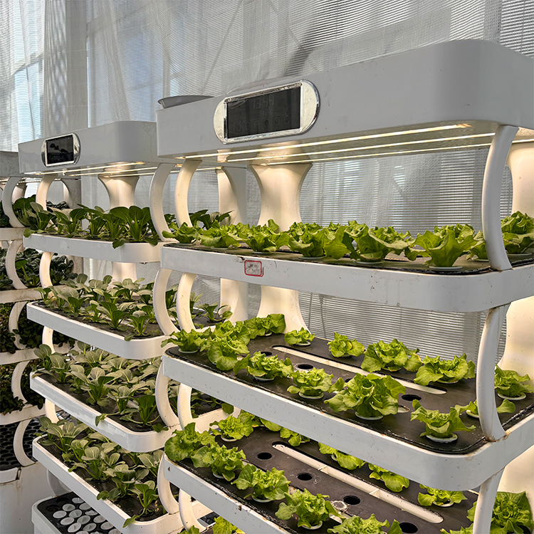 Intelligent Indoor Garden Plan - Grow Light Led review and price